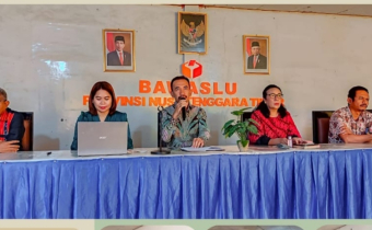 Lolly Suhenty, Kerja-kerja Pelayanan Informasi Public,  Tidak Menjadi Pekerjaan Sampingan